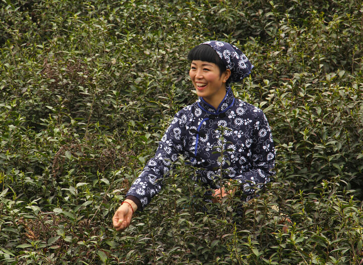 情欲漩涡